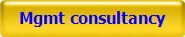 Mgmt consultancy